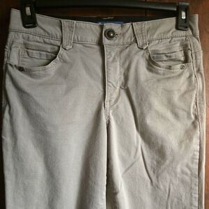 Democracy "Ab Solution" Pants, 8 (waist=15"-15.5")